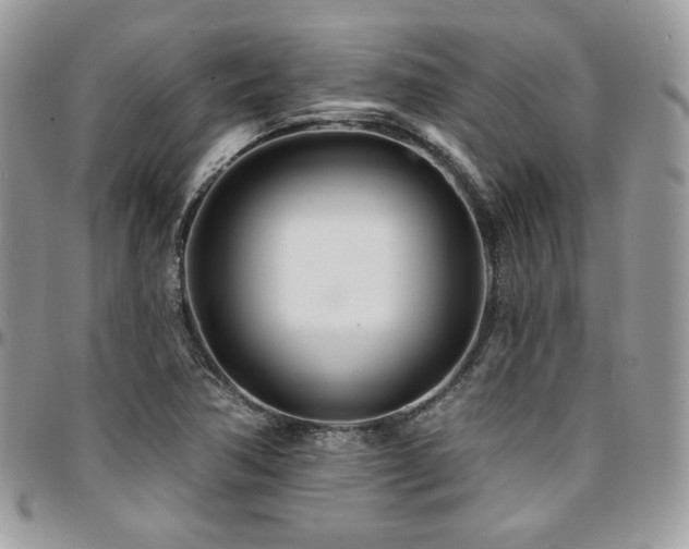 X0000095131362200712071258