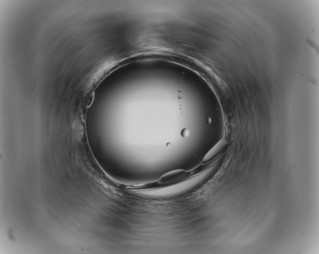 X0000095131363200712071258