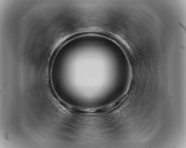 X0000095131364200712071258