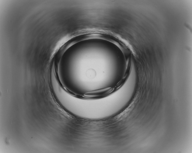 X0000095131365200712071258