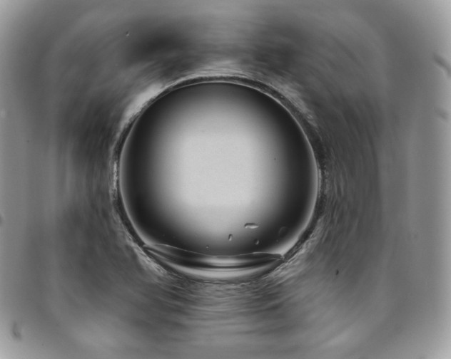 X0000095131366200712071258