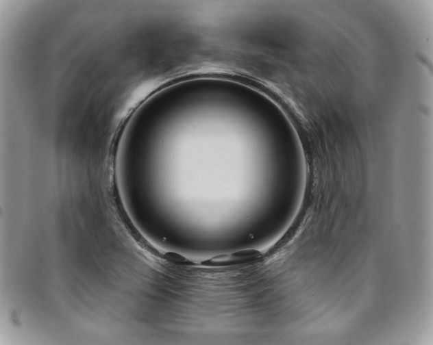 X0000095131367200712071258