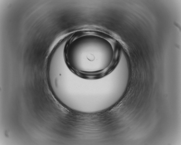 X0000095131368200712071258