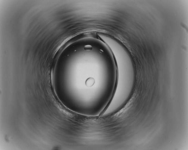 X0000095131369200712071258