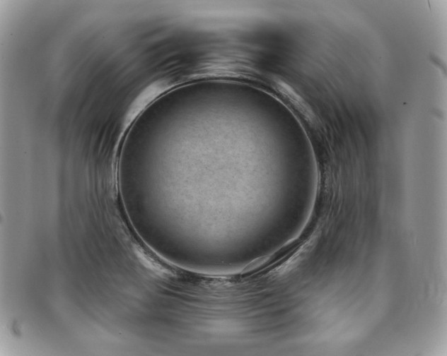 X0000095131370200712071258