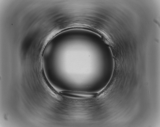 X0000095131371200712071258