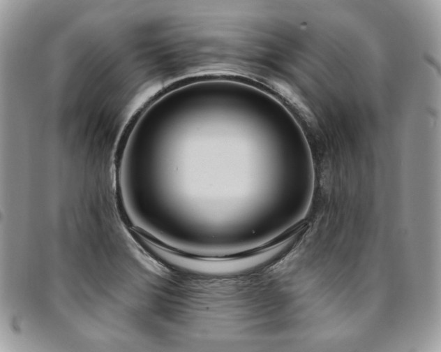 X0000095131372200712071258