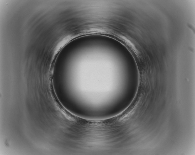 X0000095131373200712071258