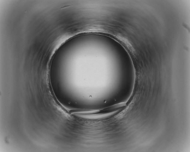 X0000095131374200712071258
