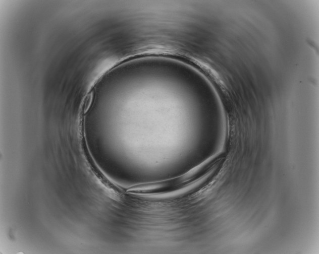 X0000095131375200712071258