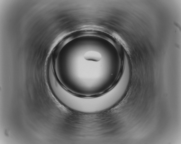X0000095131376200712071258