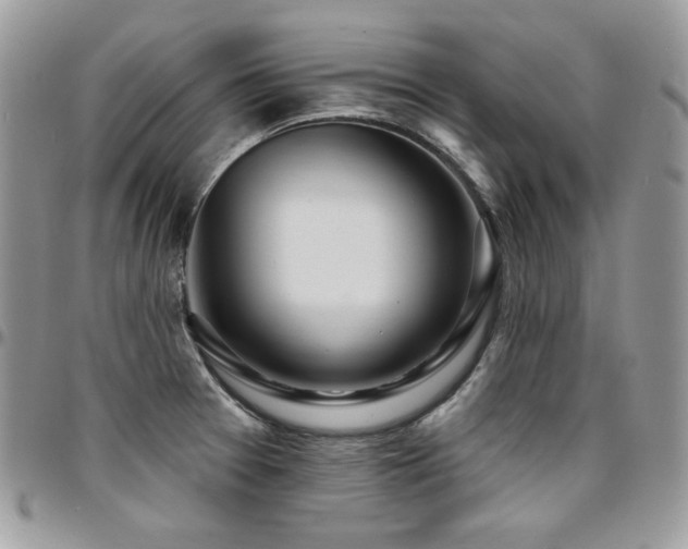 X0000095131377200712071257