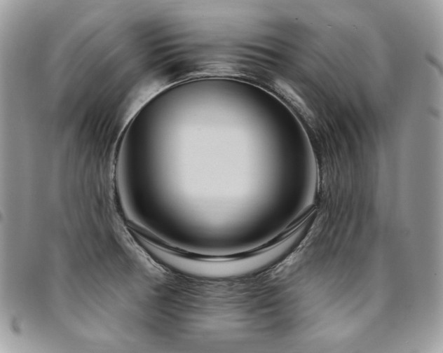 X0000095131378200712071257
