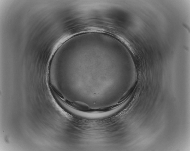 X0000095131379200712071257