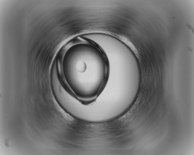 X0000095131380200712071257