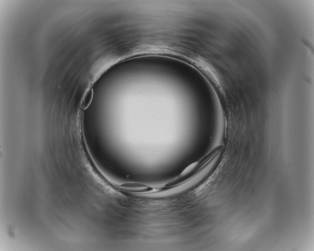 X0000095131382200712071257