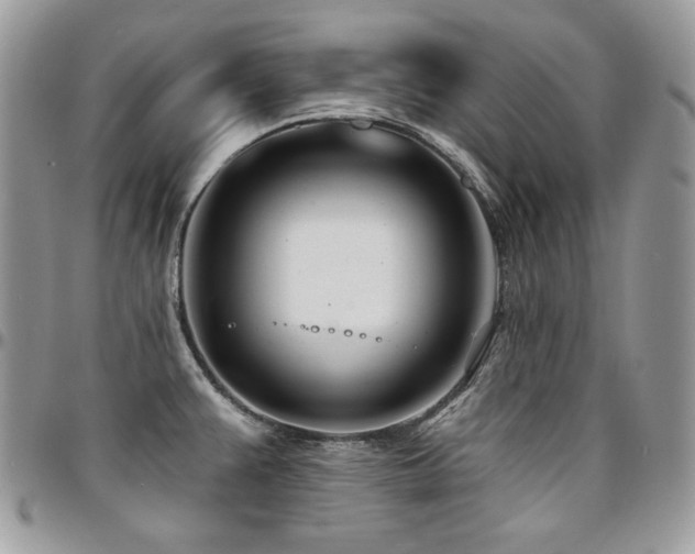 X0000095131383200712071257