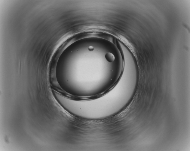 X0000095131384200712071257