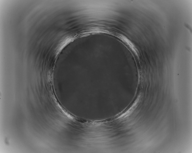 X0000095131385200712071257