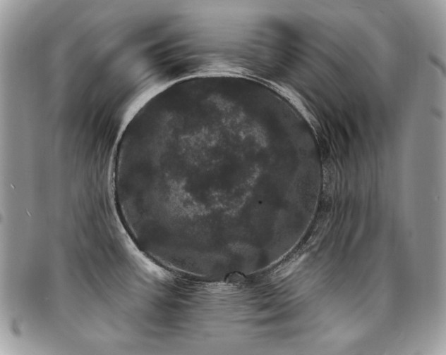 X0000095131387200712071257