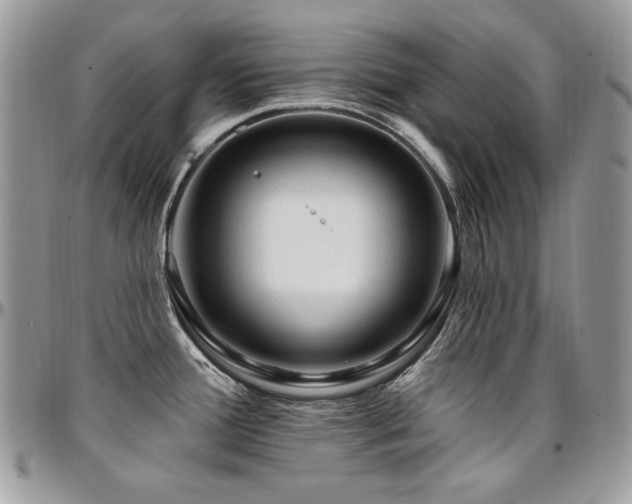 X0000095131388200712071257