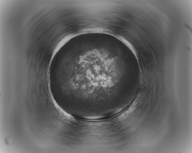 X0000095131389200712071257