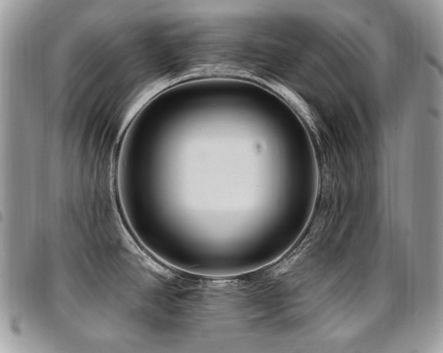 X0000095131390200712071257