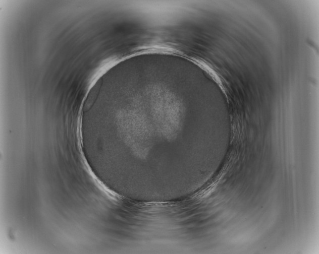 X0000095131391200712071257