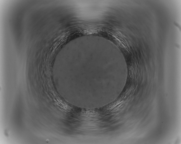 X0000095131393200712071257