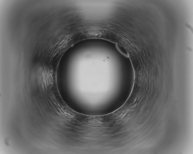 X0000095131394200712071257