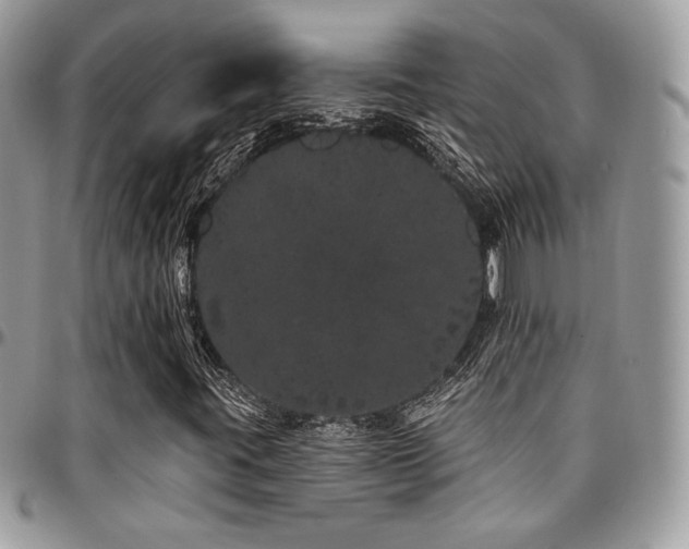 X0000095131395200712071257