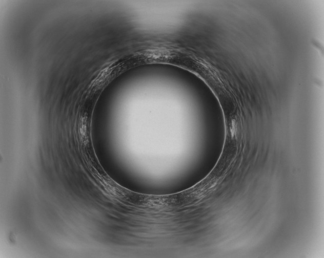X0000095131396200712071257