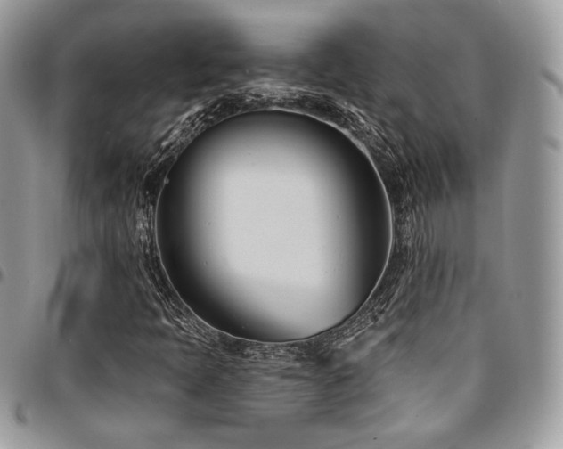 X0000095131397200712071257