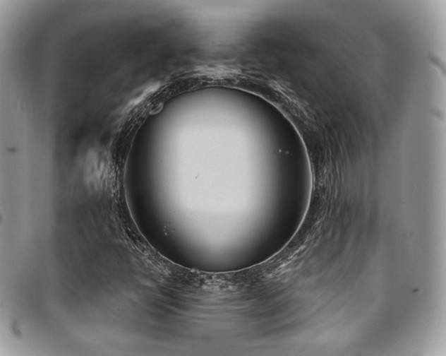 X0000095131398200712071257