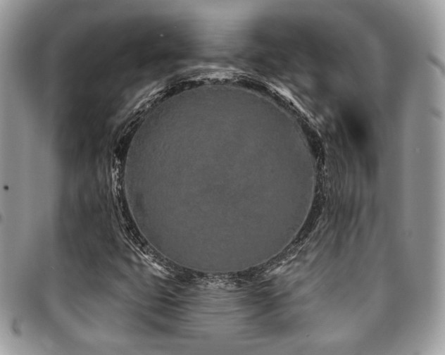 X0000095131399200712071257