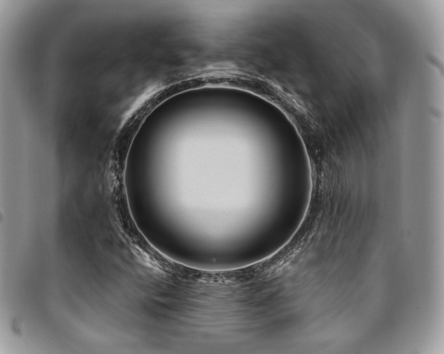 X0000095131400200712071257