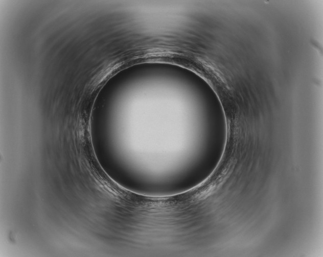 X0000095131401200712071257