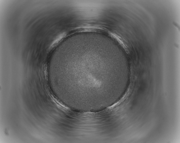 X0000095131403200712071257