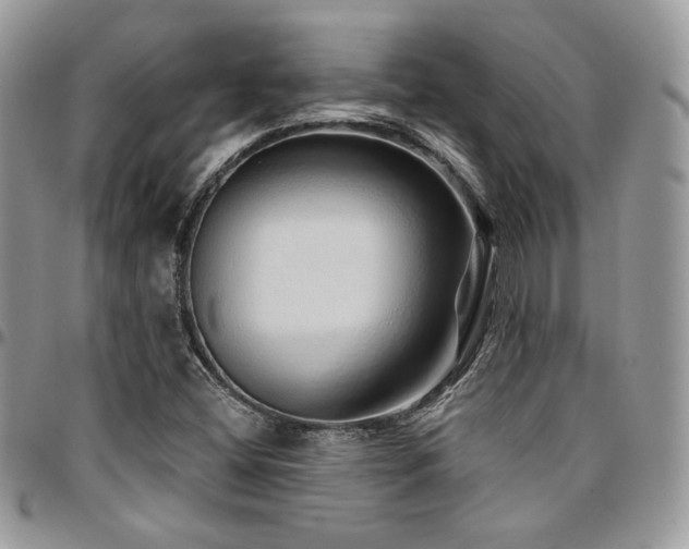 X0000095131404200712071257