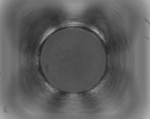 X0000095131405200712071257