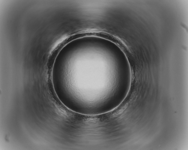 X0000095131406200712071257