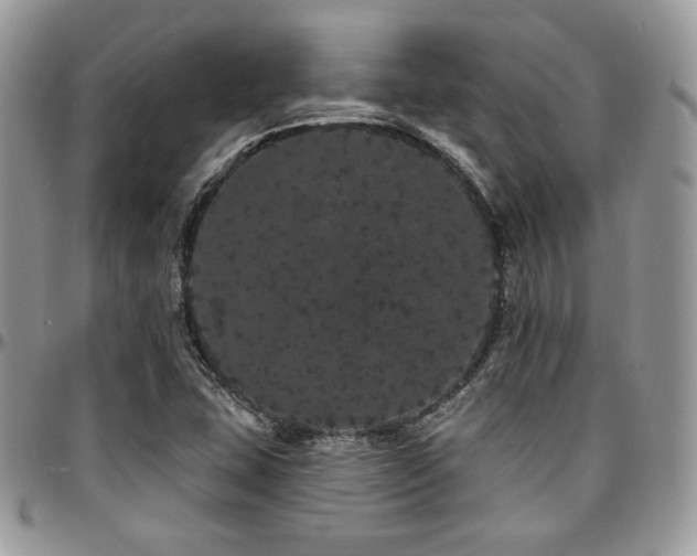 X0000095131407200712071257