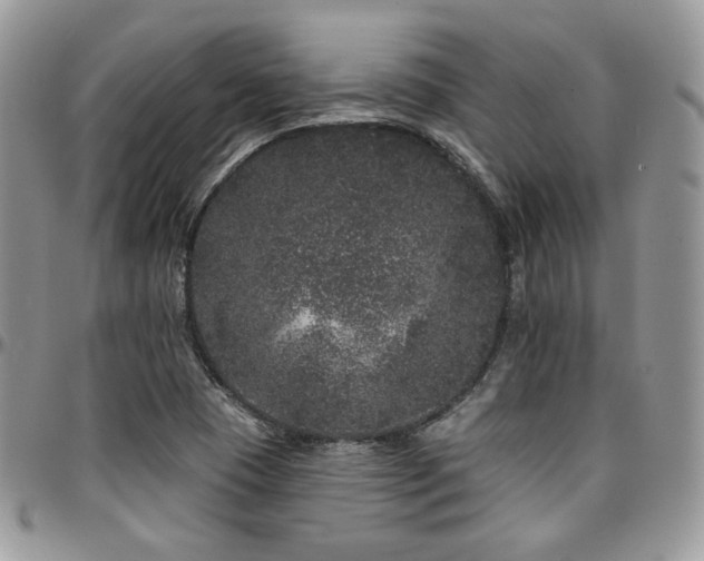 X0000095131409200712071257