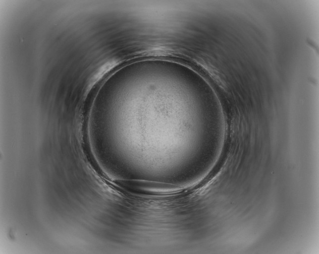 X0000095131410200712071257