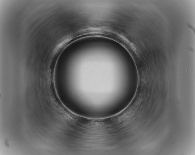 X0000095131411200712071257