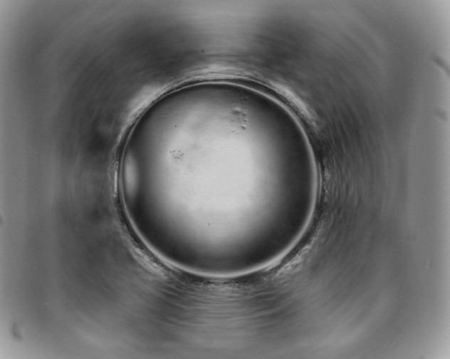 X0000095131413200712071257