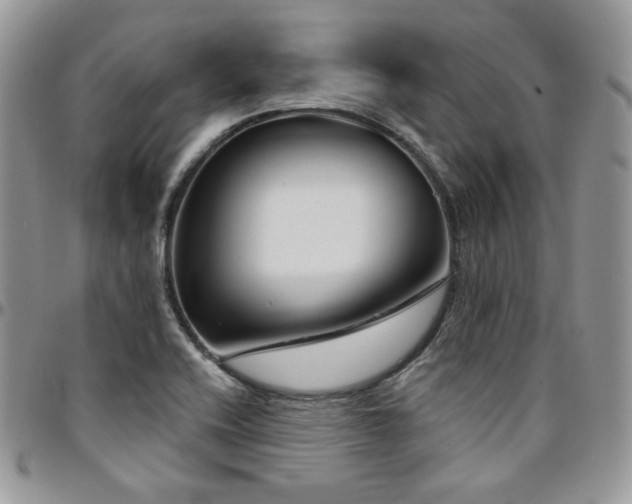 X0000095131416200712071257