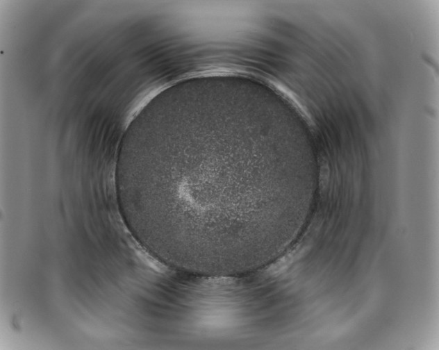 X0000095131417200712071257