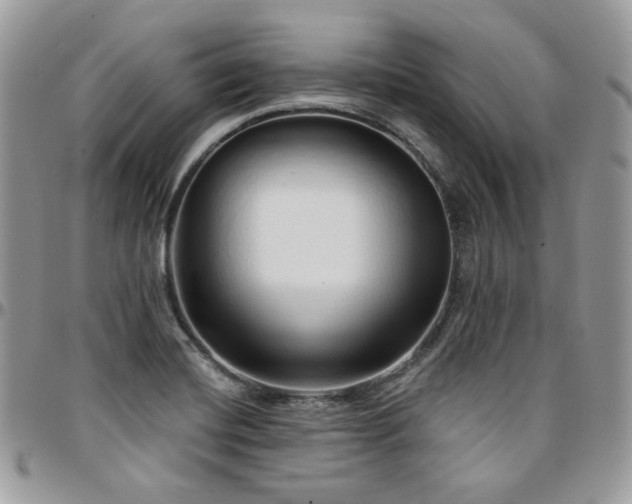 X0000095131420200712071257