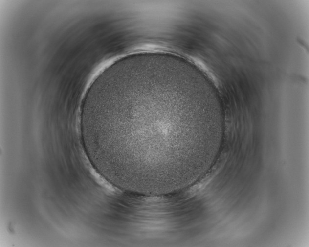 X0000095131421200712071257